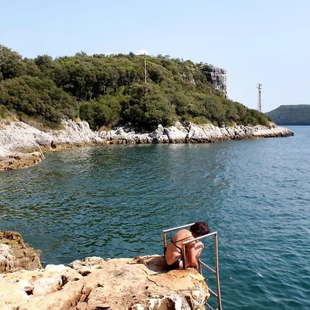 House With A Swimming Pool Jural, Rovinj - 27148